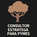 consultorestratega